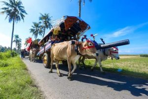 Pemkab Jember Usulkan “Parade Pegon” Jadi Warisan Budaya tak Benda