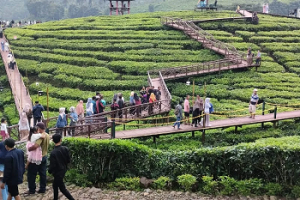 Wisatawan ke Gunung Gambir Jember Terus Meningkat Saat Libur Lebaran