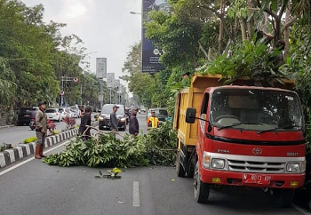 Antisipasi Pohon Rawan Tumbang Jelang Musim Hujan, DPUPR Kota Batu Gercep Lakukan Pemangkasan Beri Keamanan Masyarakat